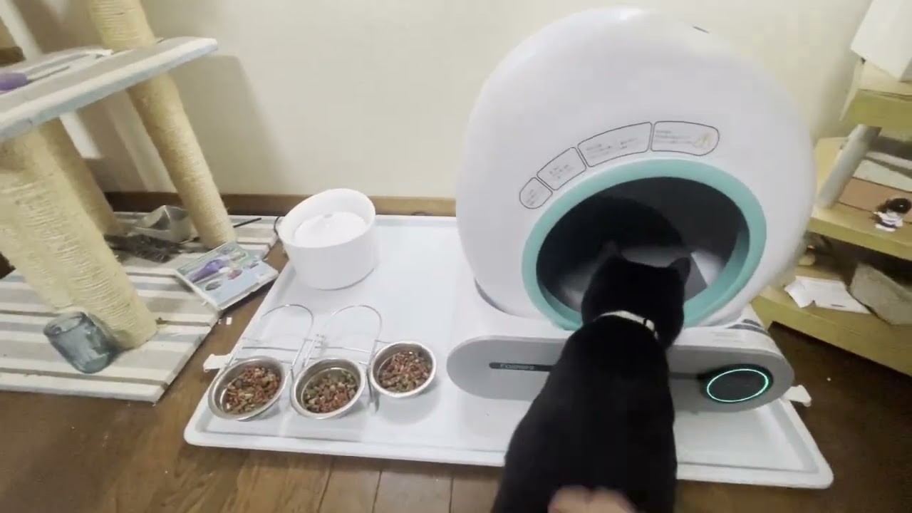 猫用自動トイレFamree製Smart Cat Litter Boxを買ってみました。