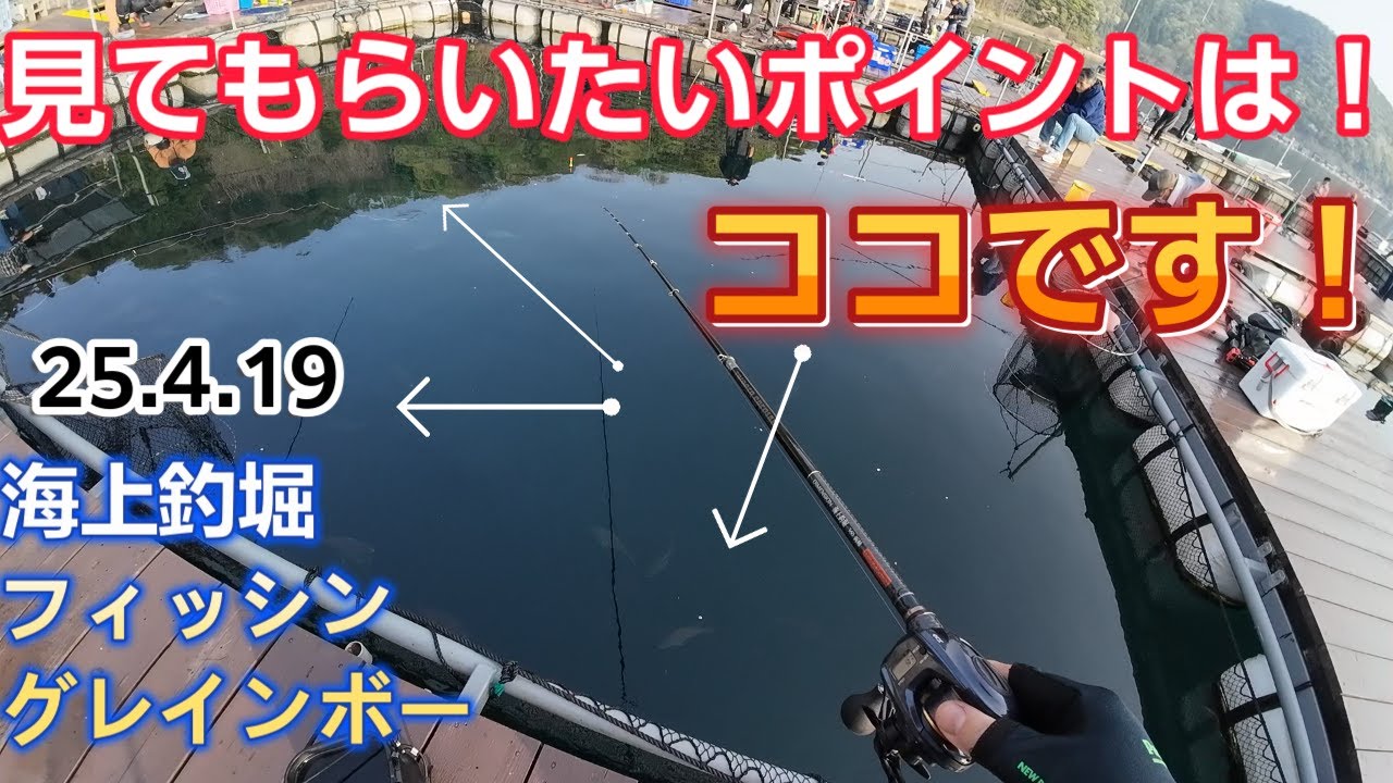 見てもらいたいポイントはココです！海上釣堀フィッシングレインボー