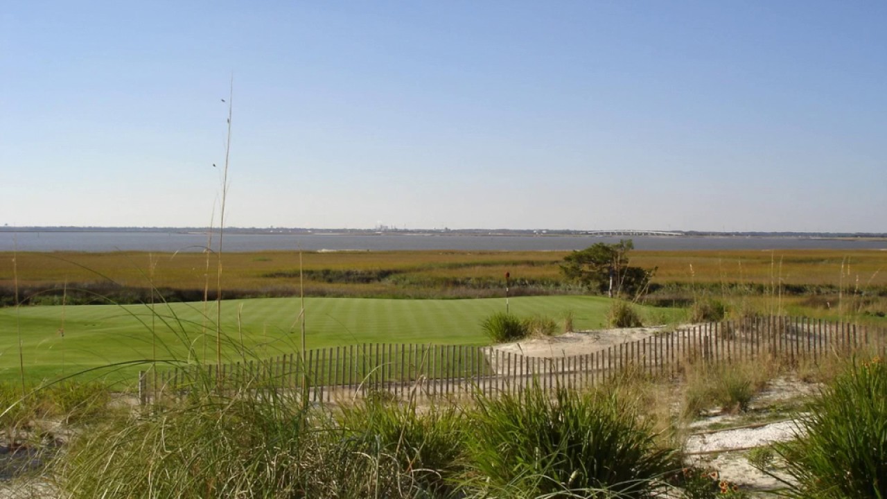 Seashore paspalum