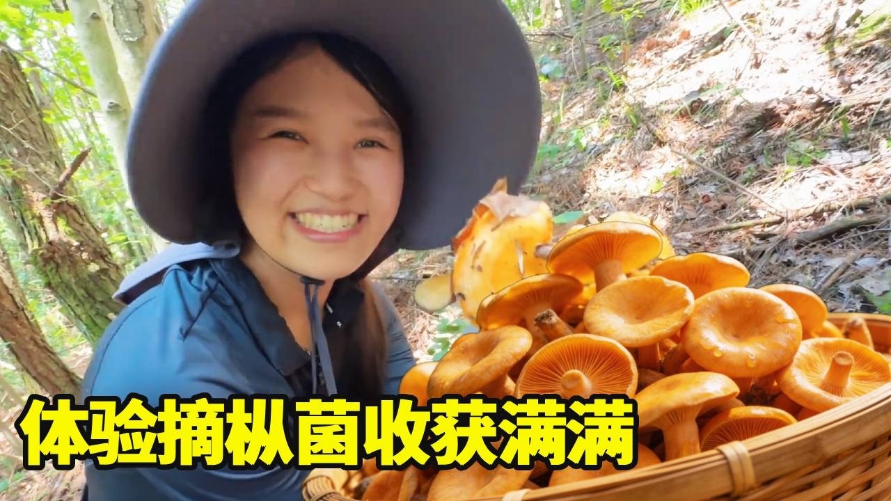 媳妇儿也想体验摘枞菌，6小时爬两座山，收获满满一背篓开心得不得了！【湘西冬宝】
