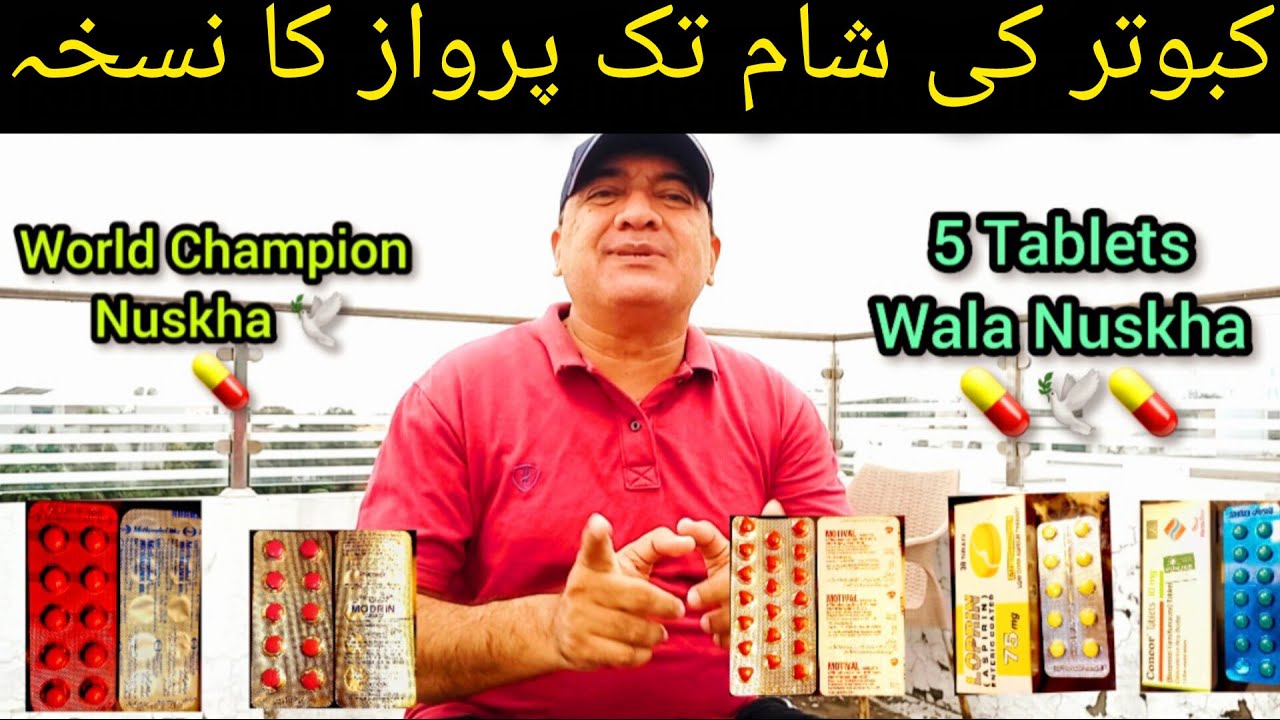 Kabootar ki sham tak parwaz ka nuskha