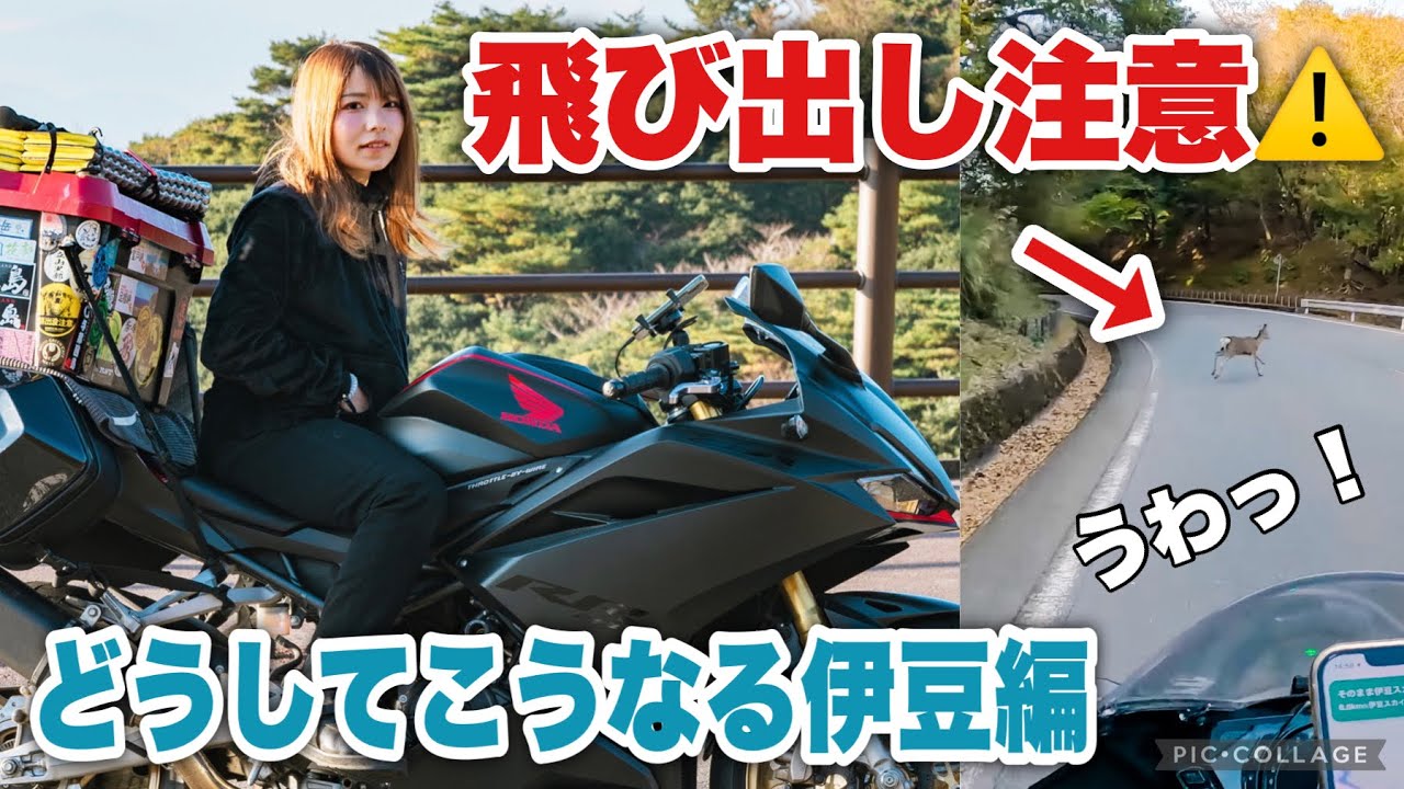 はりきって伊豆ツーリングに来たのに...｜日本一周 静岡編