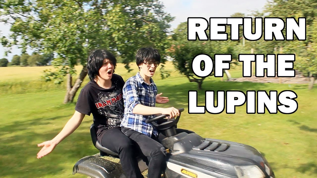 Marauders Summer Chronicles: Return of the Lupins