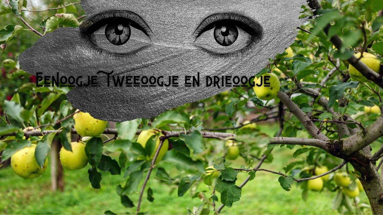 EENOOGJE, TWEEOOGJE EN DRIEOOGJE - luistersprookje
