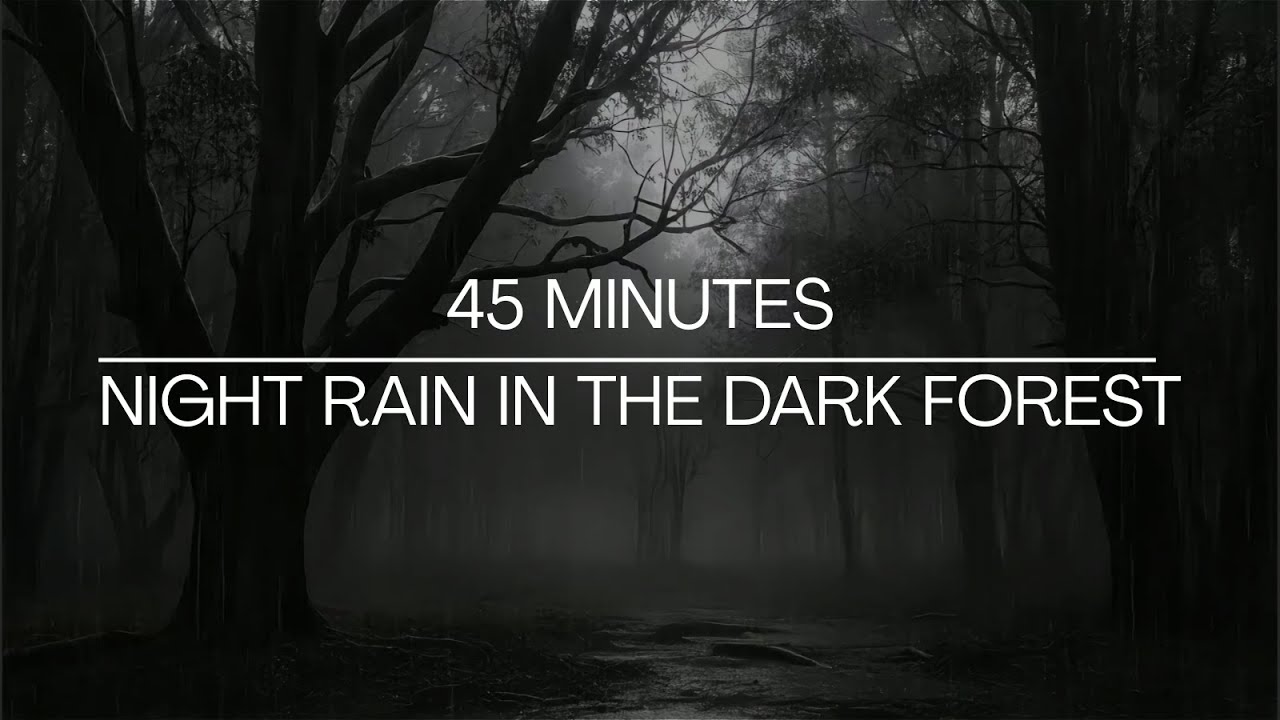 45 Minutes of Gentle Rain in the Dark Forest | Deep Sleep & Relaxation