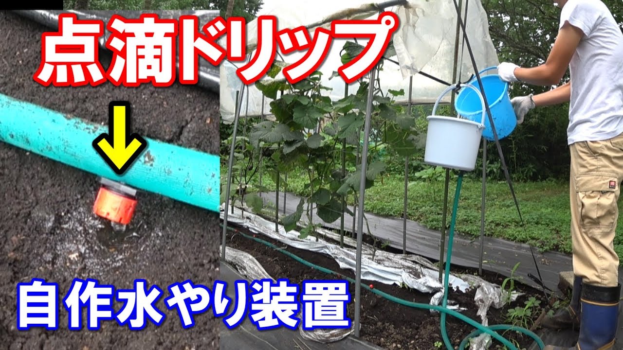 【DIY】点滴ドリップを使用した水やり装置の製作例　/Drip irrigation Watering device DIY