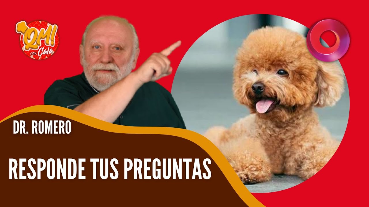 El consultorio del Dr. Romero