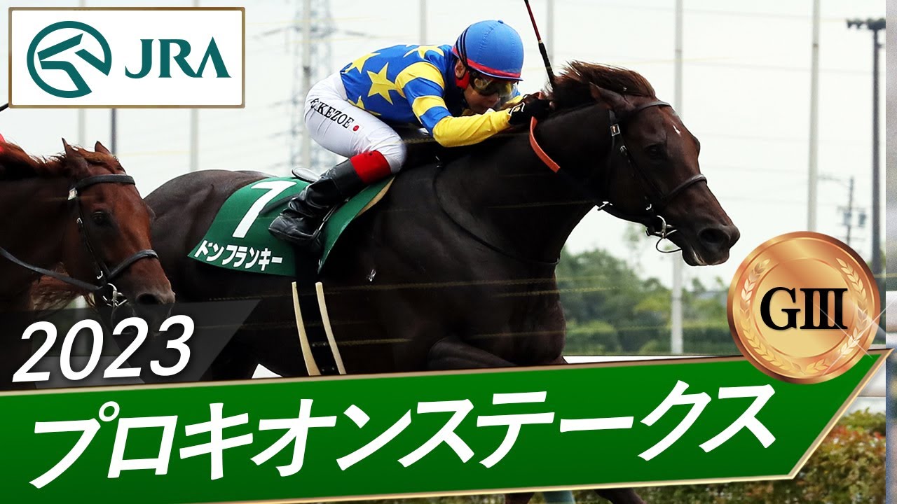 2023年 プロキオンステークス（GⅢ） | ドンフランキー | JRA公式