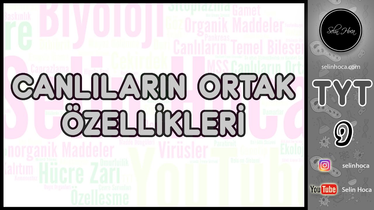 1) Canlıların Ortak Özellikleri