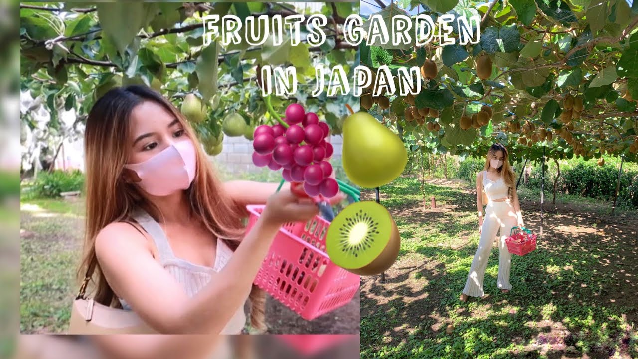Living in Japan | Fruits Garden Tour+Picking Fresh Fruits! 🍇🥝🍐😋