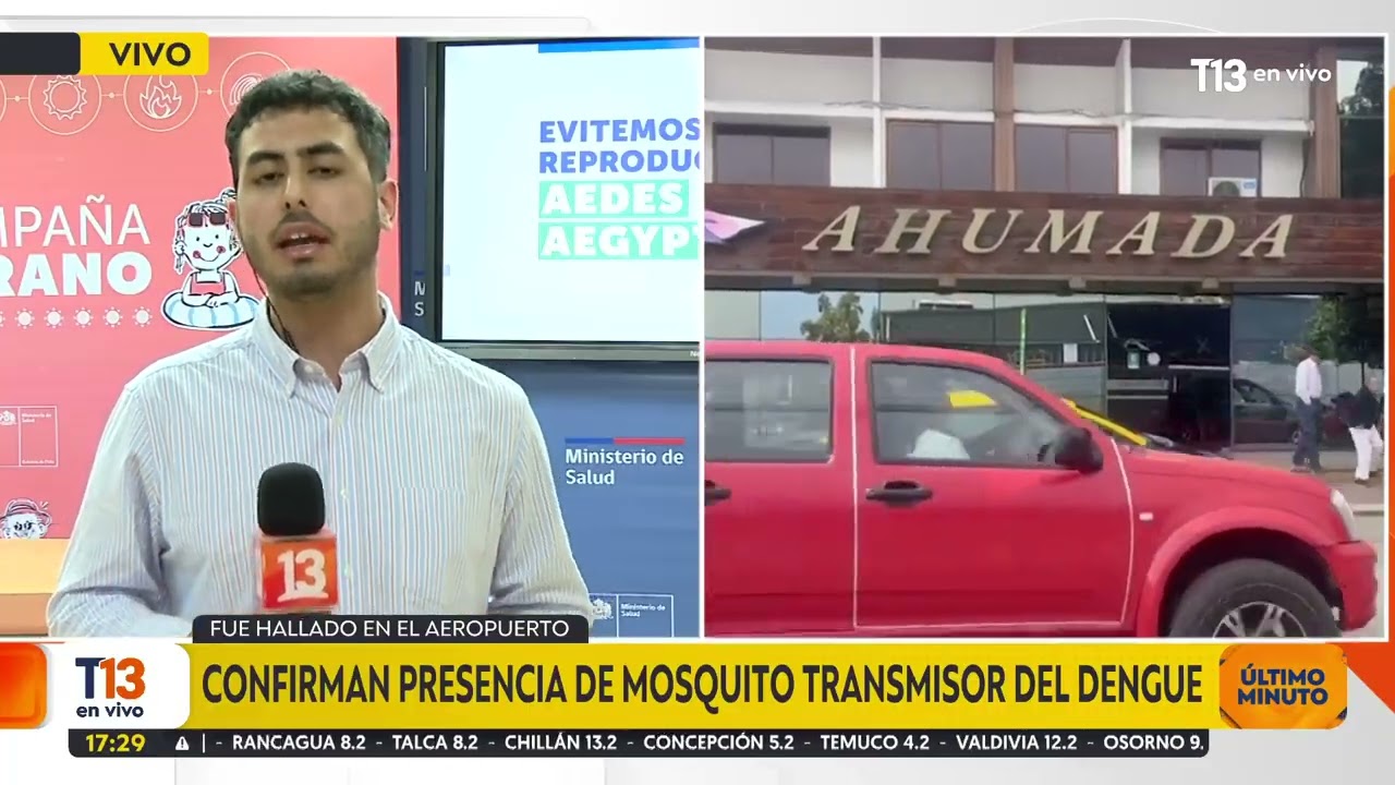 Presencia de mosquito transmisor del Dengue en Chile