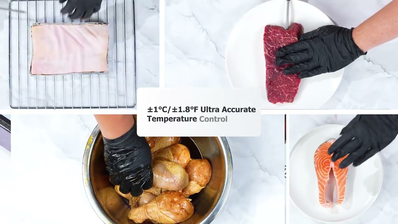 INKBIRD INT-14-BW White Model &ndash; 4-Probe Thermometer Explained