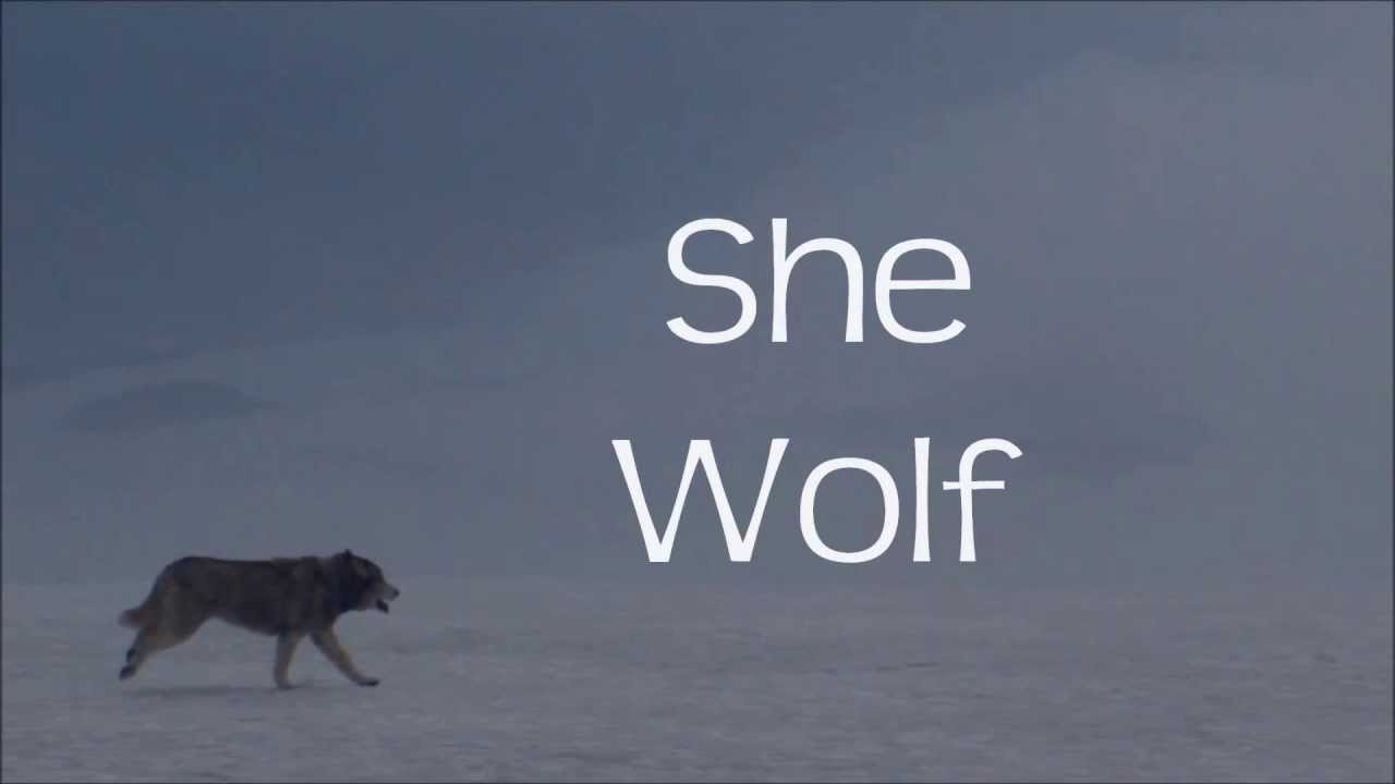 David Guetta ft. Sia - She Wolf (LYRICS on screen)