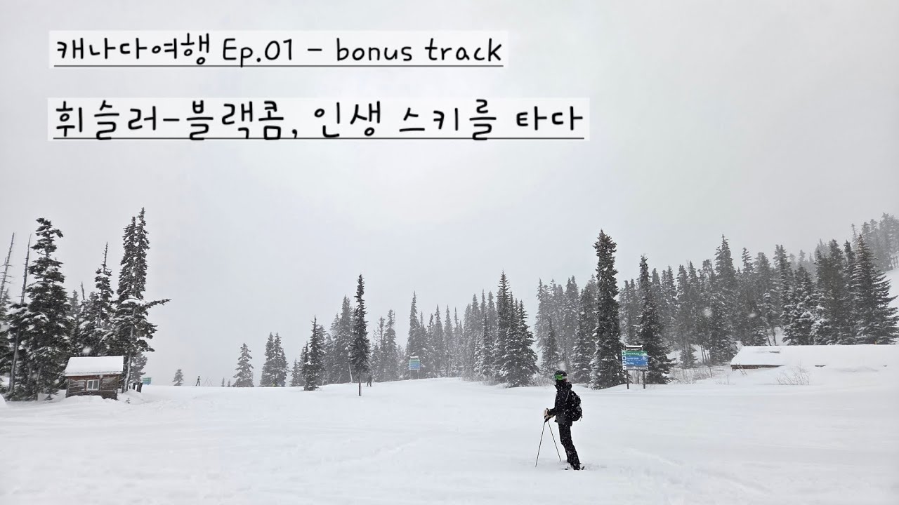 [캐나다 스키Vlog] 휘슬러-블랙콤, 인생 스키를 타다(초보자도 문제없어요!)