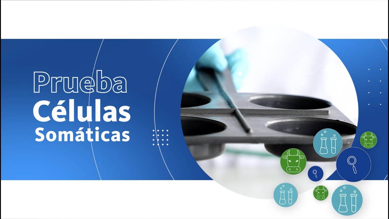 Recuento Células somáticas mediante la prueba CMT