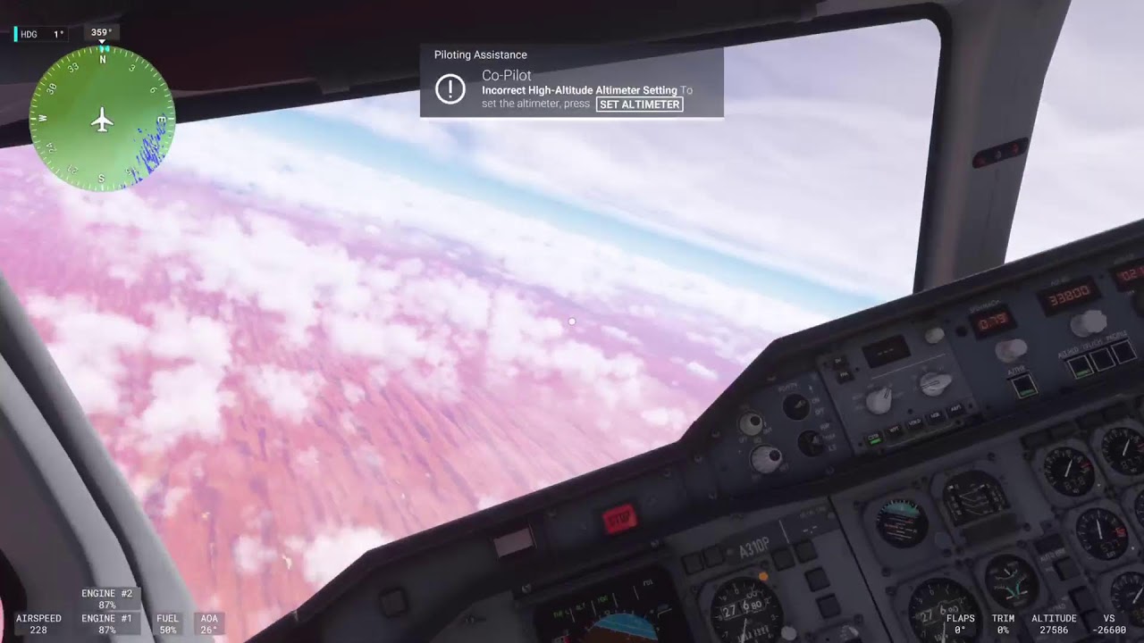 Microsoft flight Simulator