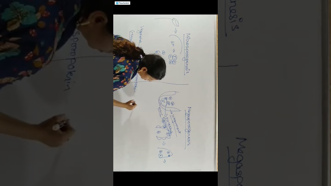 DNA NURSING COACHING JABALPUR PNST ONLINE CLASS