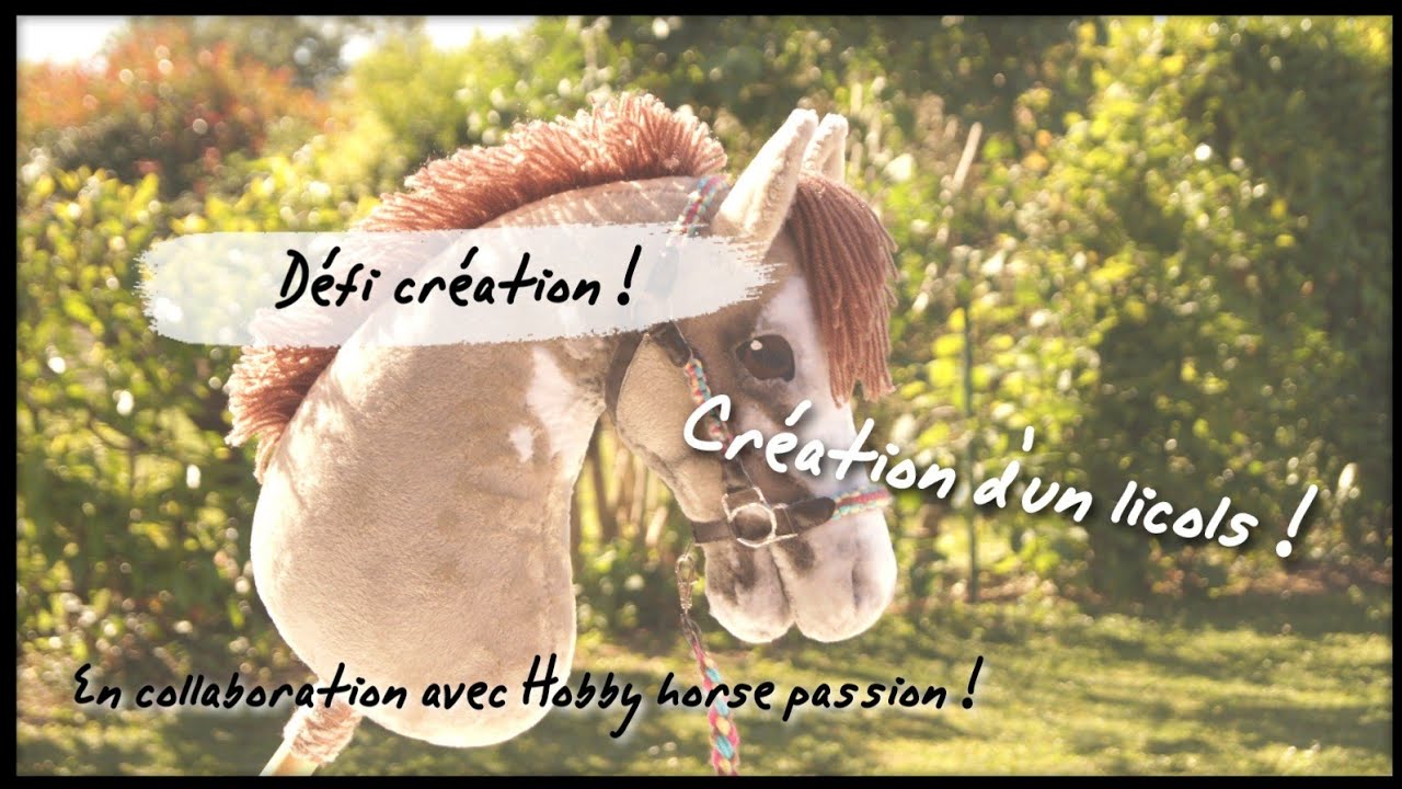 Défi création : la création du licols !