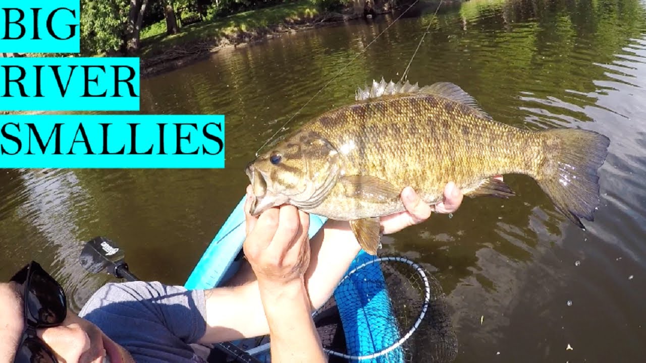 KAYAK FISHING For BIG BRONZEBACKS on The Mississippi River (Insane Day)