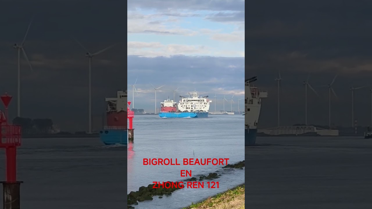 BIGROLL BEAUFORT en ZHONG REN 121 29-9-2025