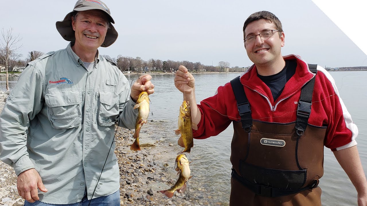 How to catch Bullhead catfish from shore