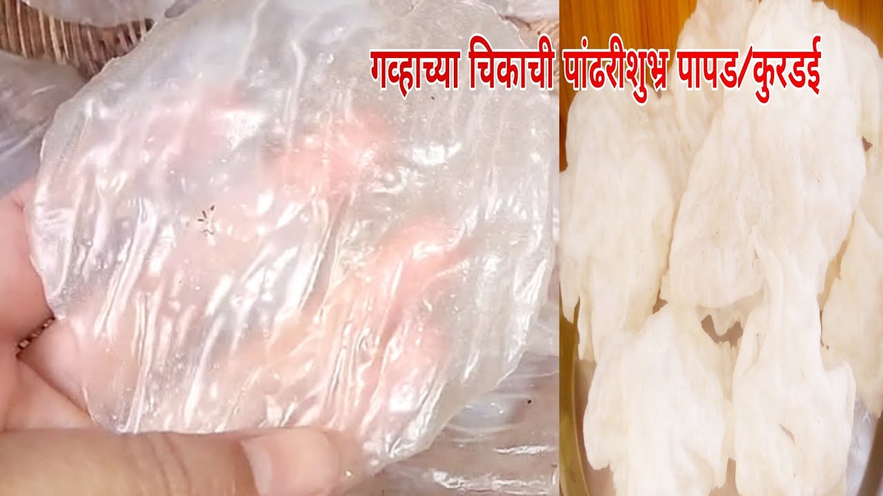 पांढरी शुभ्र कागद प्रमाणे पातळ गव्हाच्या चिकाची कुरडई/पापड|चिक कसा बनवावा?kurdai/papad|valvanirecipe