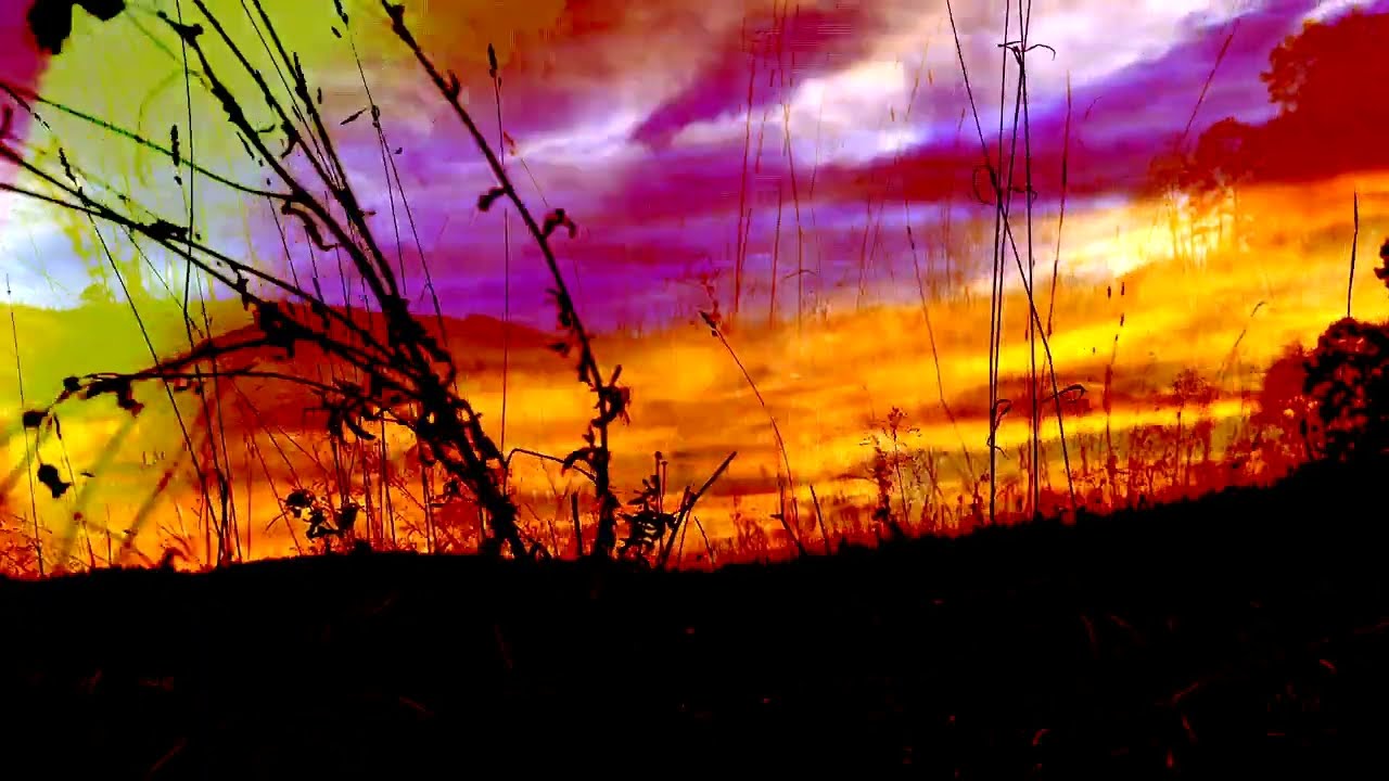 Furrows - in rough landscape, and a blues for R.J.