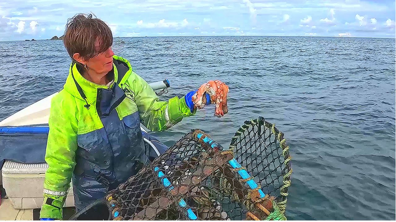 Can We Find Some Lobster ?