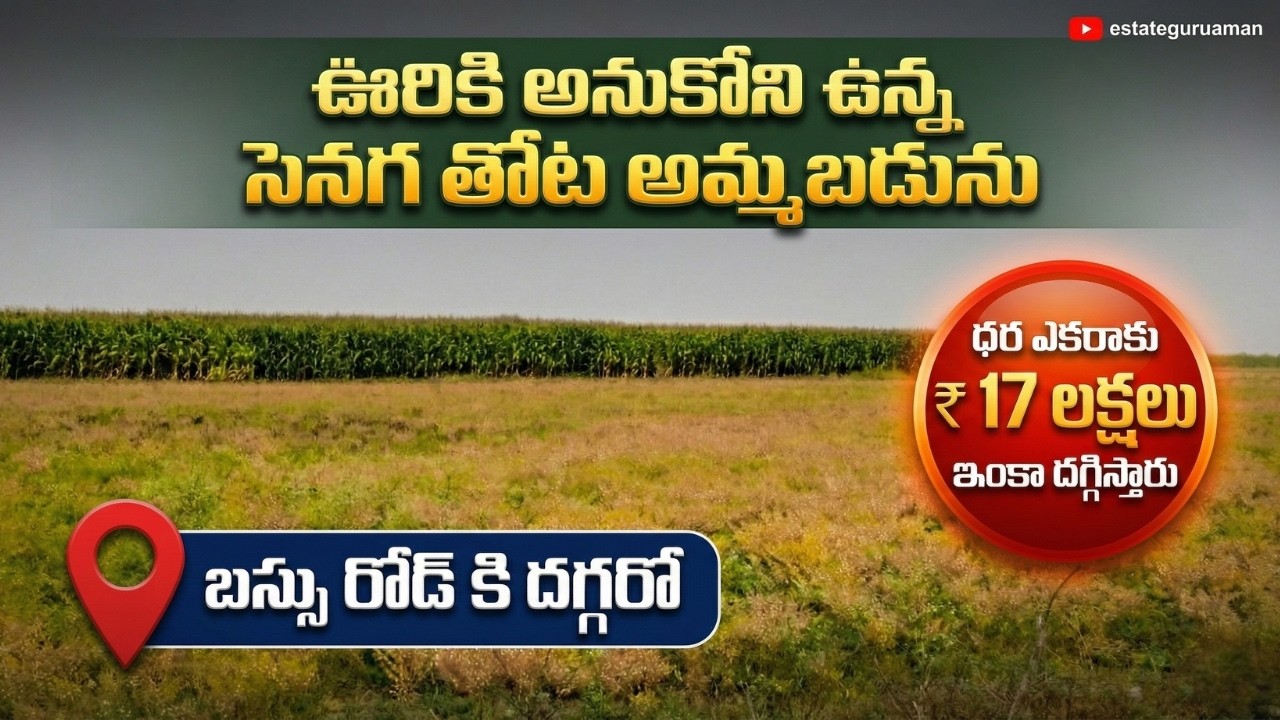 ఊరికి అనుకోని 5 ఎకరాల పొలం అమ్మబడును !|EstateGuruAman