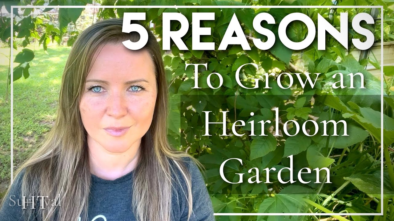 5 Reasons to Grow an Heirloom Garden