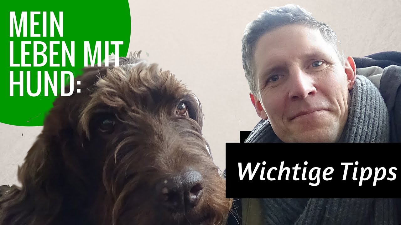 Mein Leben mit Hund: Wichtige Tipps f&uuml;r Hundebesitzer!