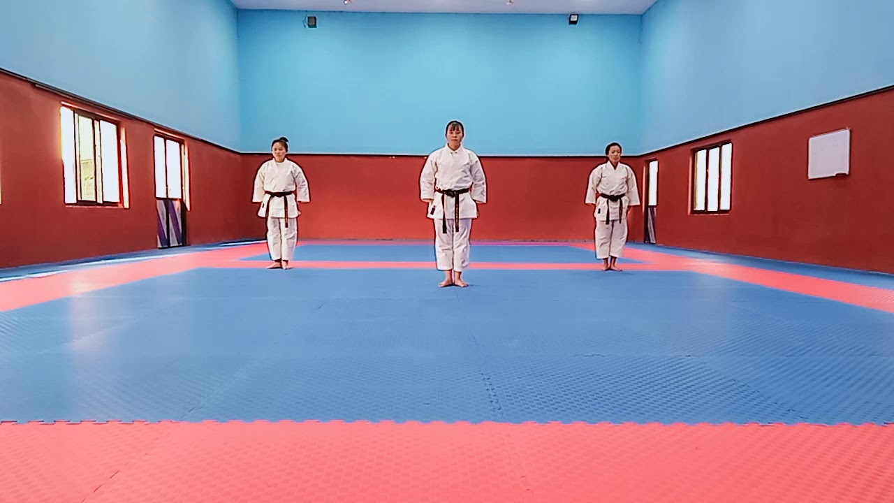 shito-ryu kata heiku