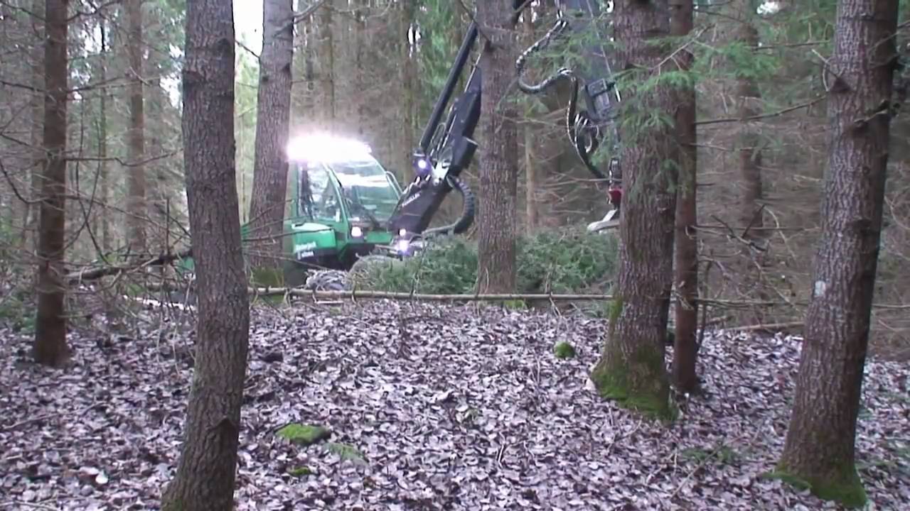 SP 451 LF on Timberjack 1070D