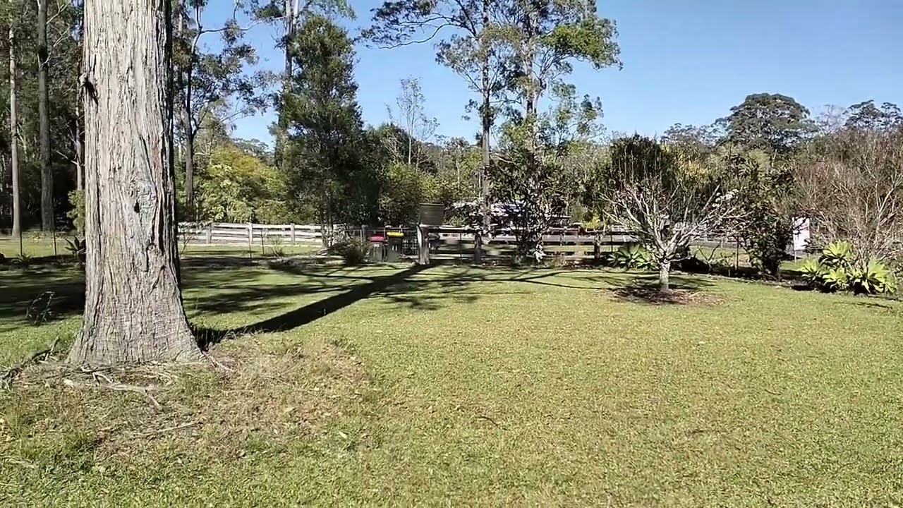 Nabiac NSW Our home and lawns