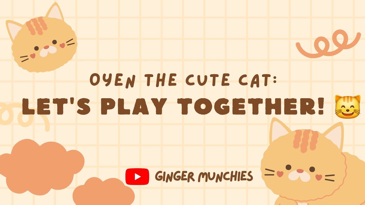 Oyen the Cute Cat: Let's Play Together! 😸🐱