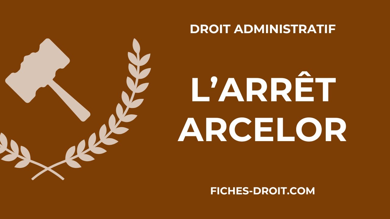 L'arrêt Arcelor du 8 février 2007