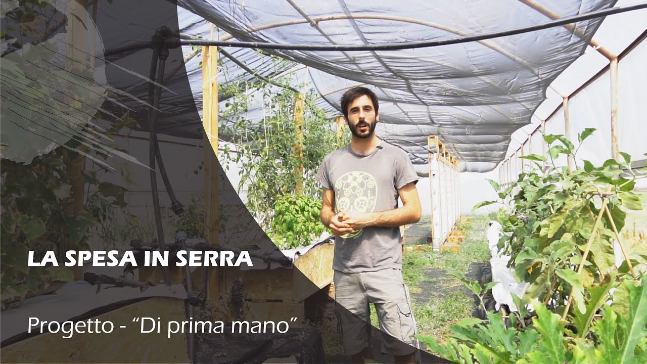 IMPIANTO DI ACQUAPONICA: laghetto + 35mq di growbed