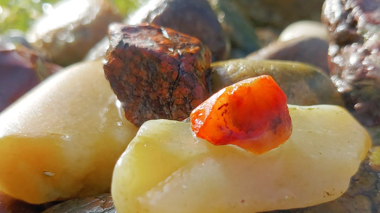 Rock Hunting in WA- Carnelian love