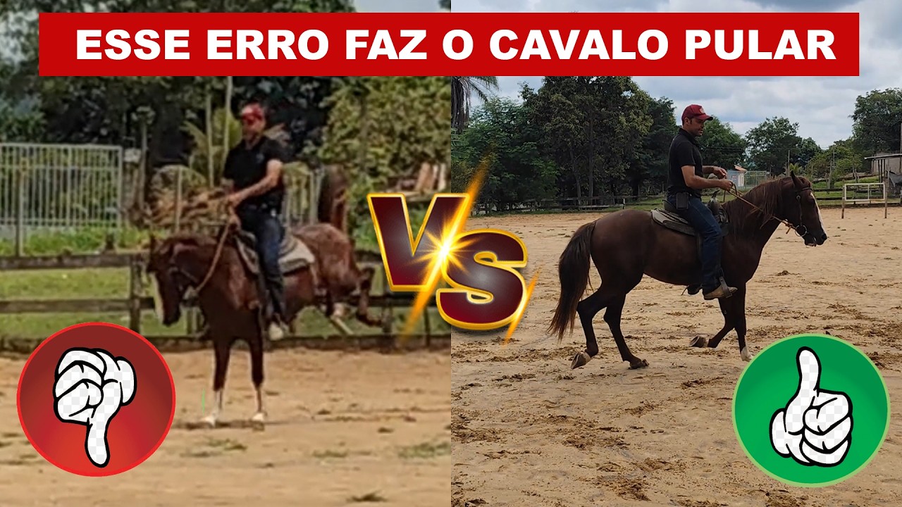Não Cometa Esse Erro ao Montar no Cavalo | Aqueça Antes de Montar