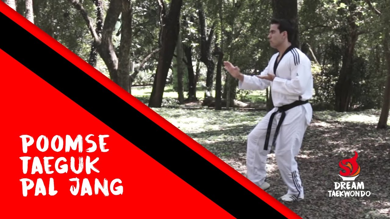 Movimento Faixa Ponta Preta - Taeguk Pal Jang