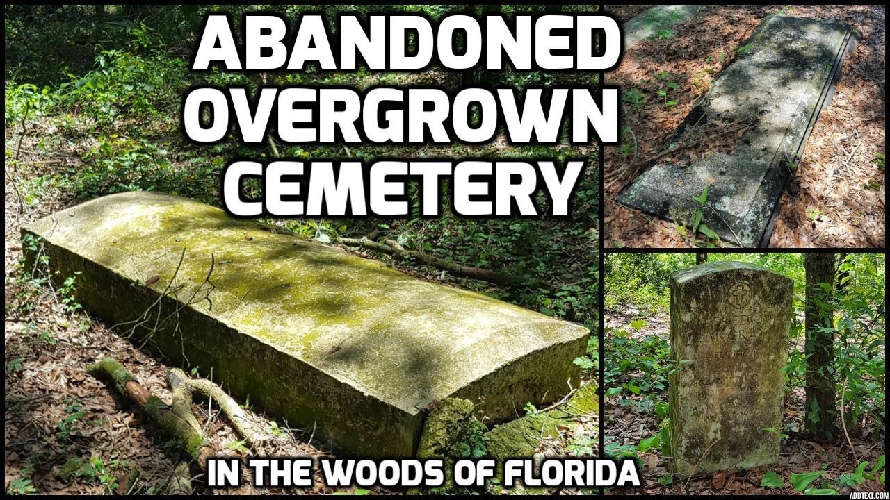 Abandoned & Overgrown Cemetery in the Florida Woods