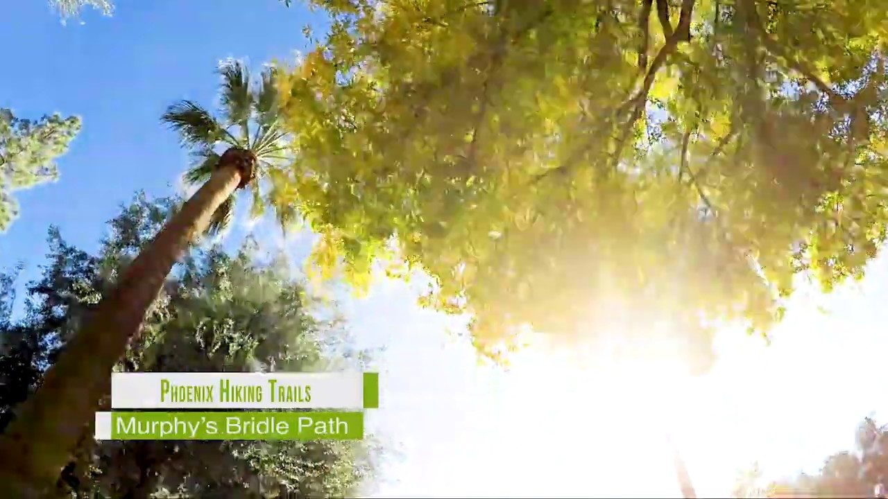 Murphy's Bridle Path | SLO TV