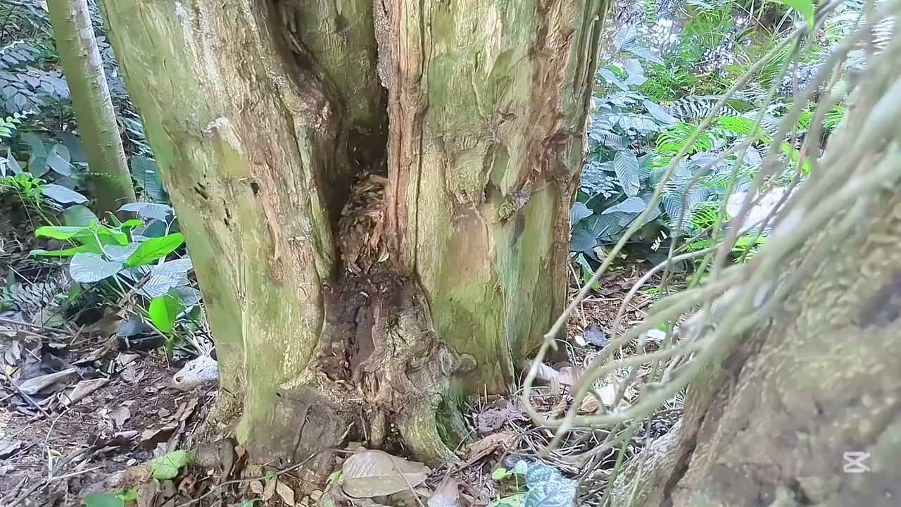 Man Neuh le rendez-vous ultime avec Ekomba