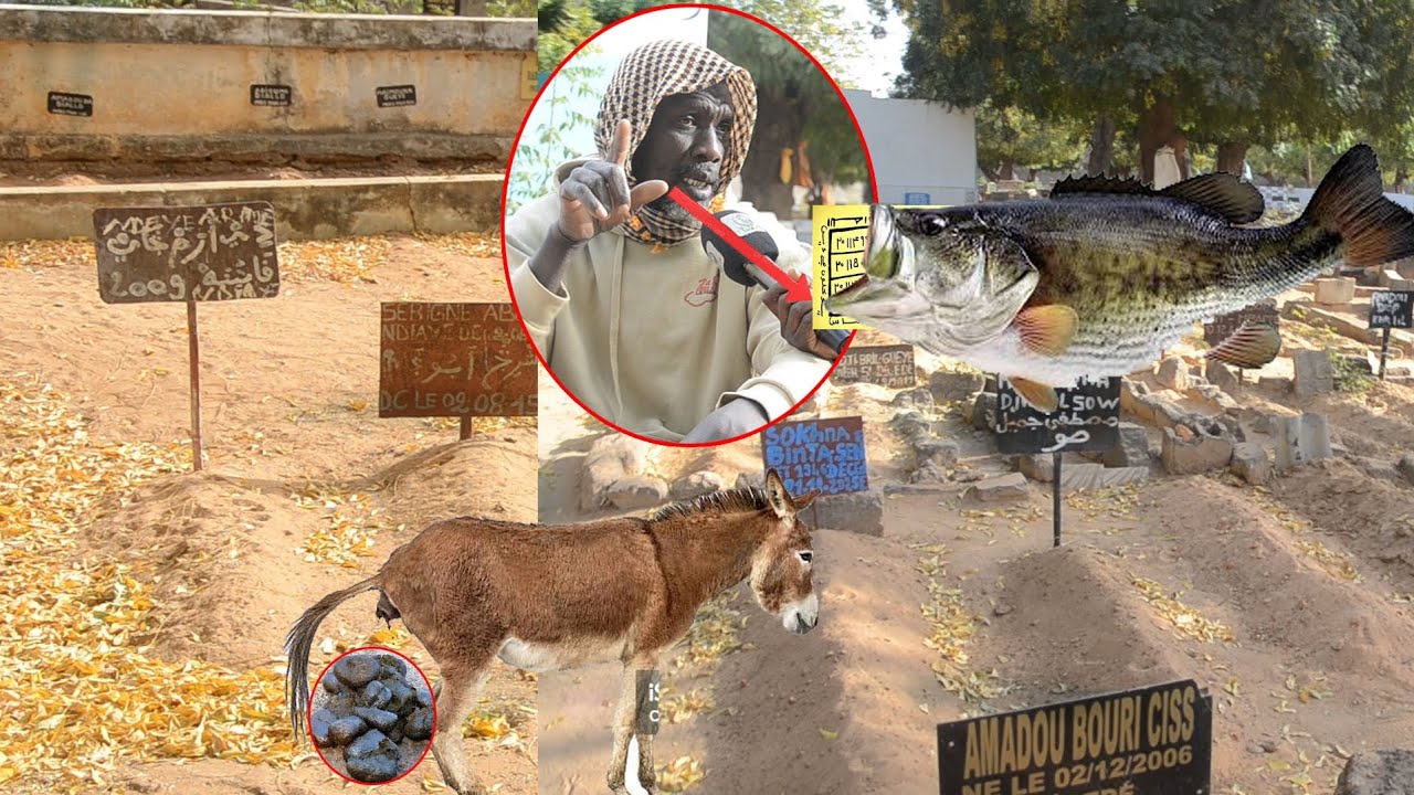 🔴Kawtef au Cimetière Bakhiya Thiès Ay  Sacrifice You Bone Niou Soulko Si Ben Bamèl Amna Kouko Djis..
