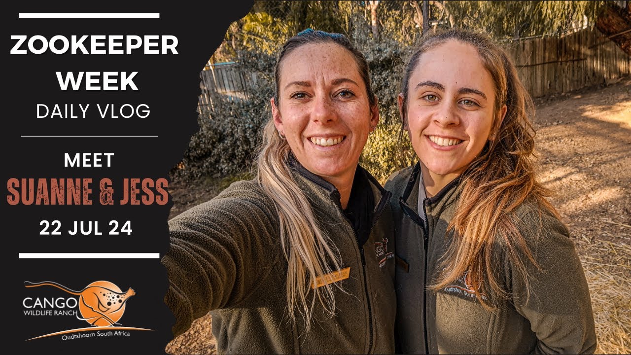 Cheetah Companions: Suanne & Jess team up for Conservation at Cango Wildlife Ranch