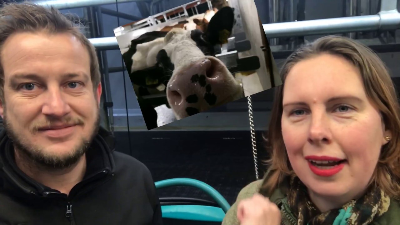 Koeien melken, ooit een slimme melkstal gezien?