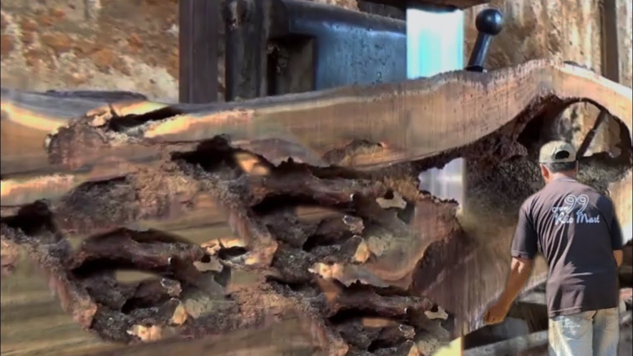 57 Seconds Before Disaster || This Broken Log Nearly Destroy The Sawmill