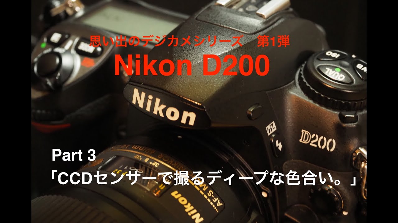 写真家　泉　悟朗   思い出のデジカメシリーズ　第1弾　Nikon D200 Part3「CCDセンサーで撮るディープな色合い。」 ニコンD200
