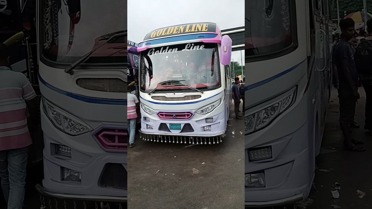 Golden Line bus kings #buslover #bus