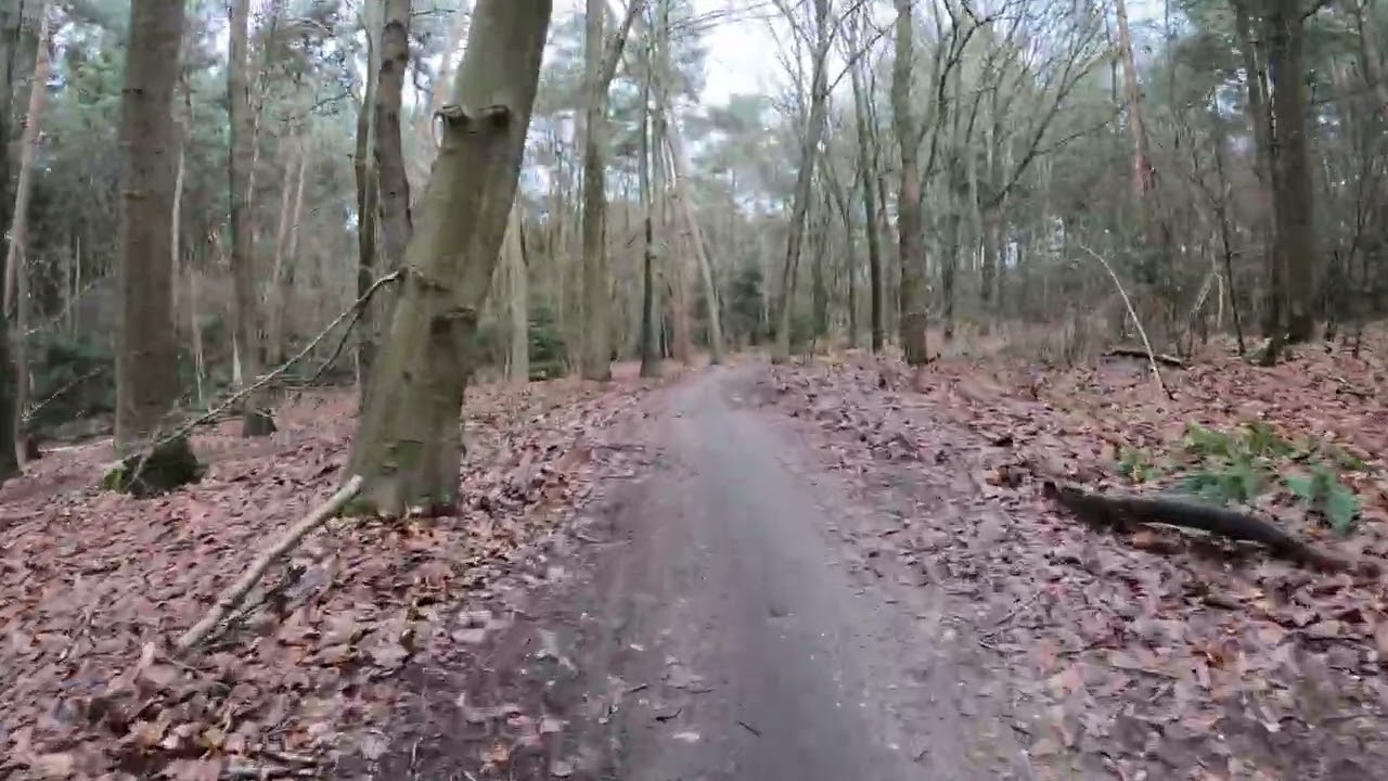 38m | 4K | Workout over de Groene MTB route van Ede